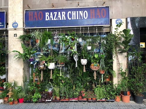 Bazar Chino Hao Hao