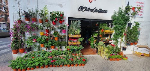 Elchinosevillano